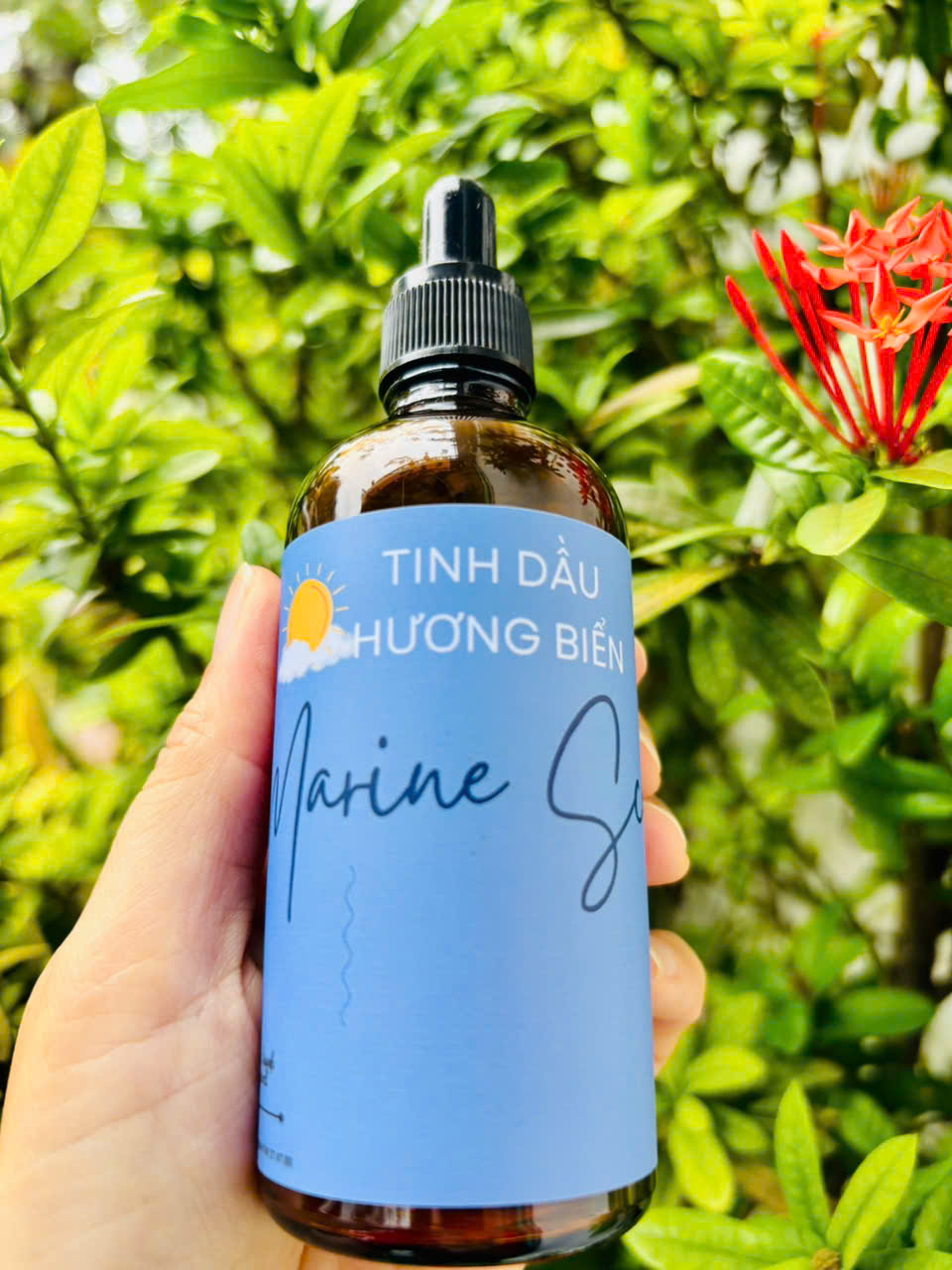 Tinh dầu Hương Biển (Marine Scent)