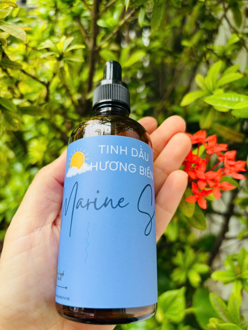 Tinh dầu Hương Biển (Marine Scent) - Ảnh 2