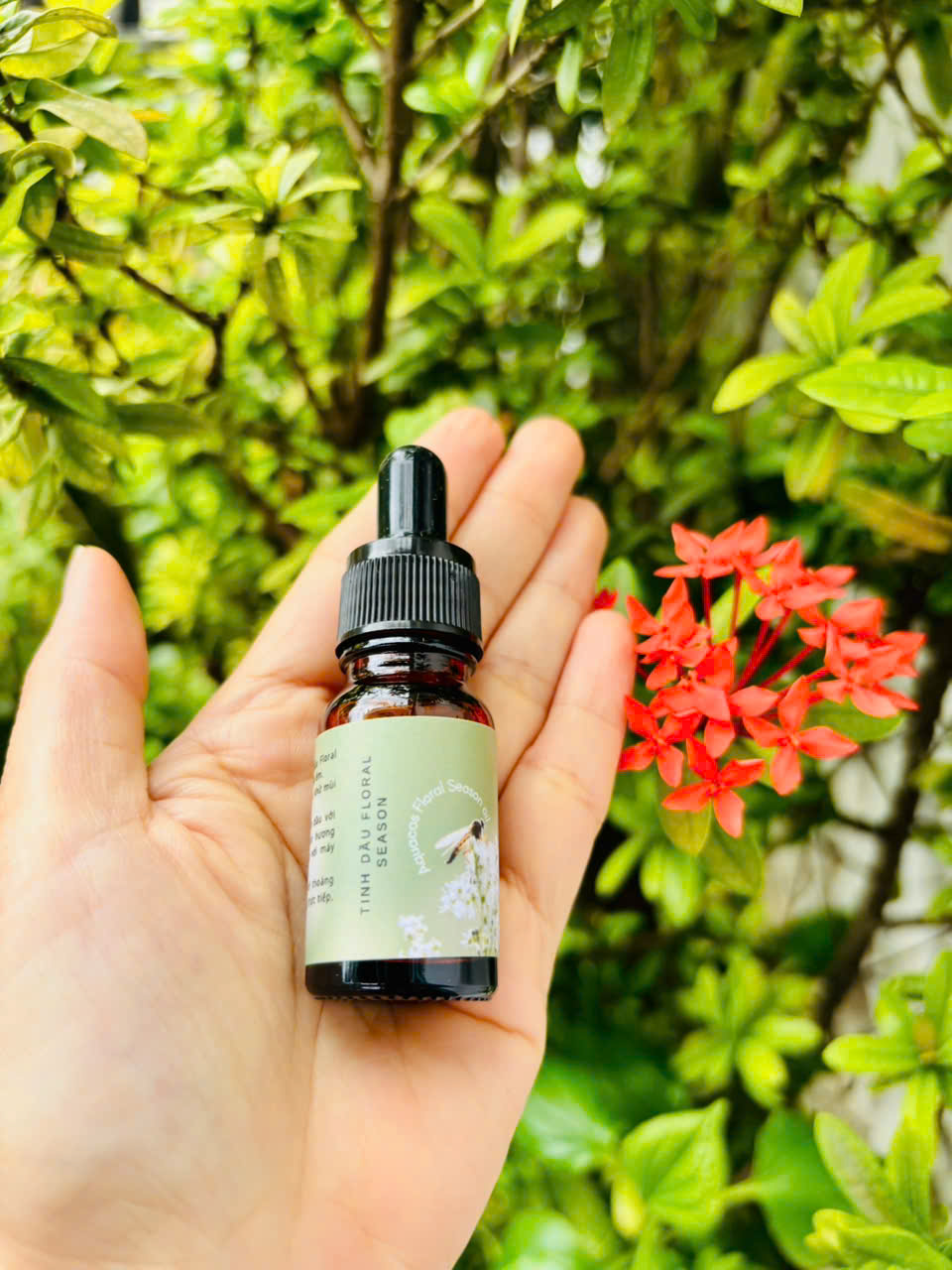 Tinh dầu Mùa hoa (Floral Season) - Ảnh 2