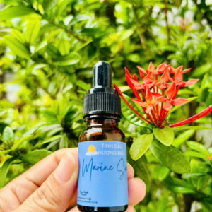Tinh dầu Hương Biển (Marine Scent)