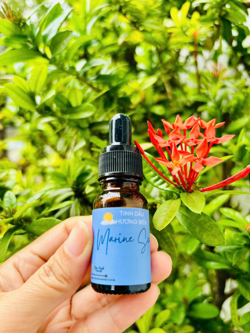 Tinh dầu Hương Biển (Marine Scent)