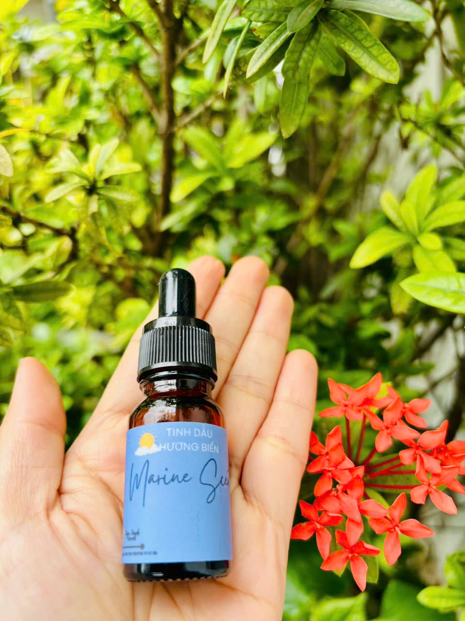 Tinh dầu Hương Biển (Marine Scent) - Ảnh 2