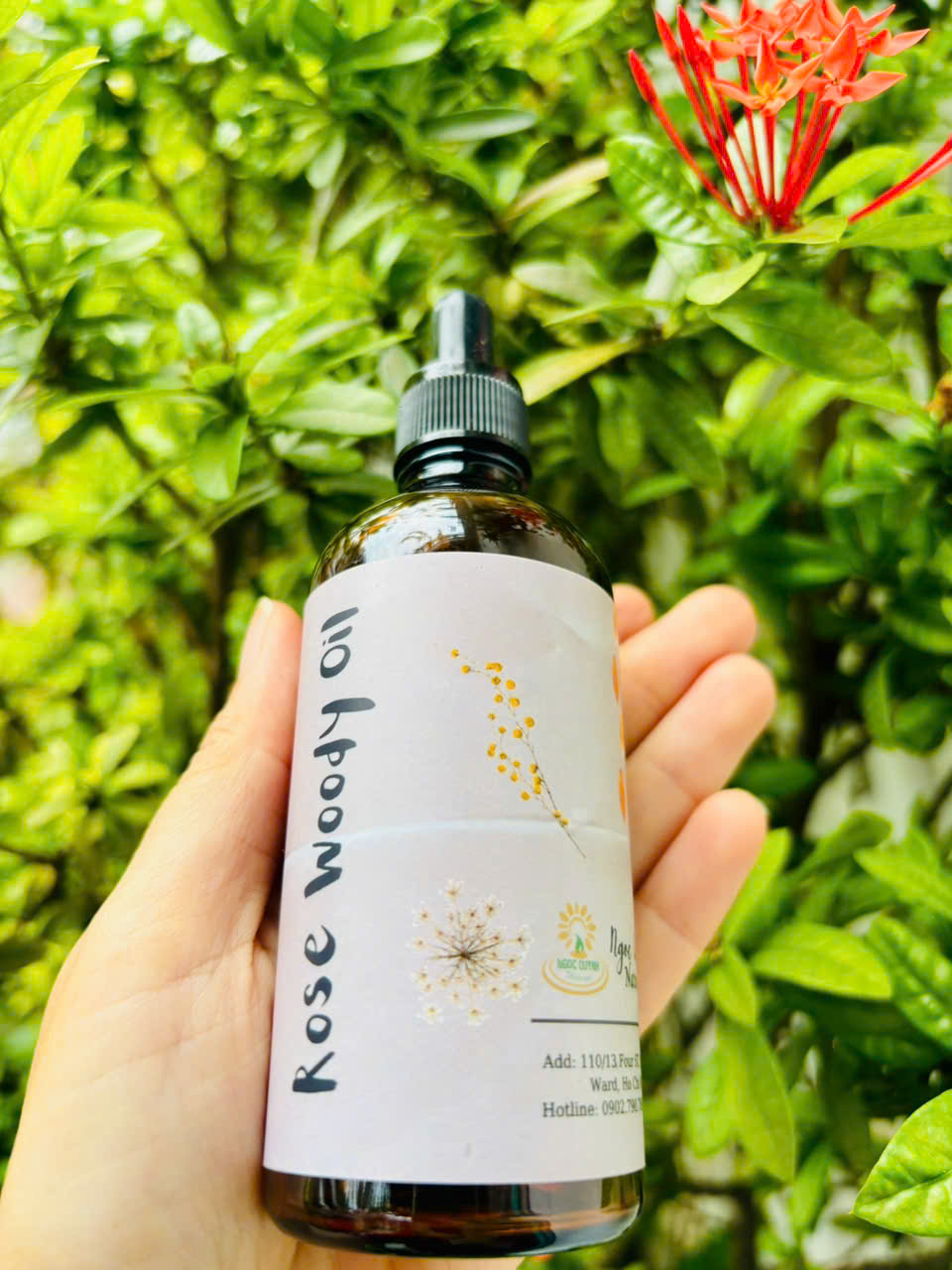 Tinh dầu Gỗ Rose Woody (Rose Woody Oil) - Ảnh 2