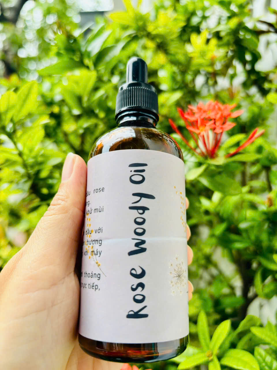 Tinh dầu Gỗ Rose Woody (Rose Woody Oil)